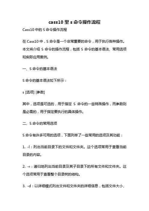 cass10里s命令操作流程