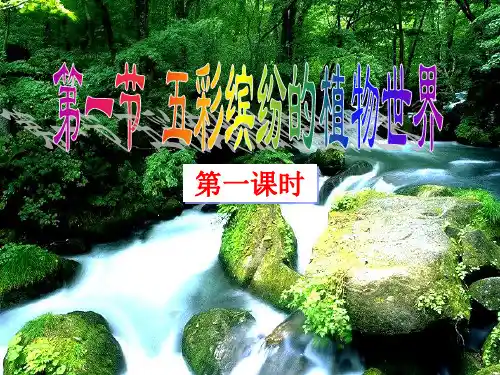 苏教版初中生物八年级上册 5.14.1 五彩缤纷的植物世界 课件(共23张PPT)