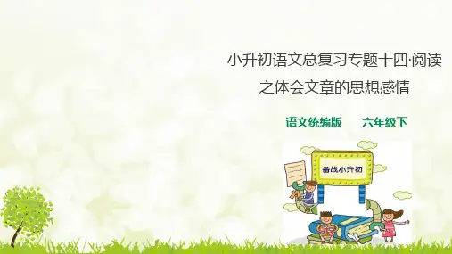 人教统编版小升初语文总复习专题(阅读之体会文章思想感情+阅读之理解重点句子含义)ppt课件