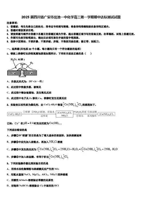 2025届四川省广安市岳池一中化学高三第一学期期中达标测试试题含解析