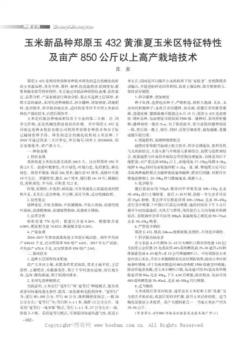 玉米新品种郑原玉432黄淮夏玉米区特征特性及亩产850公斤以上高产栽培技术