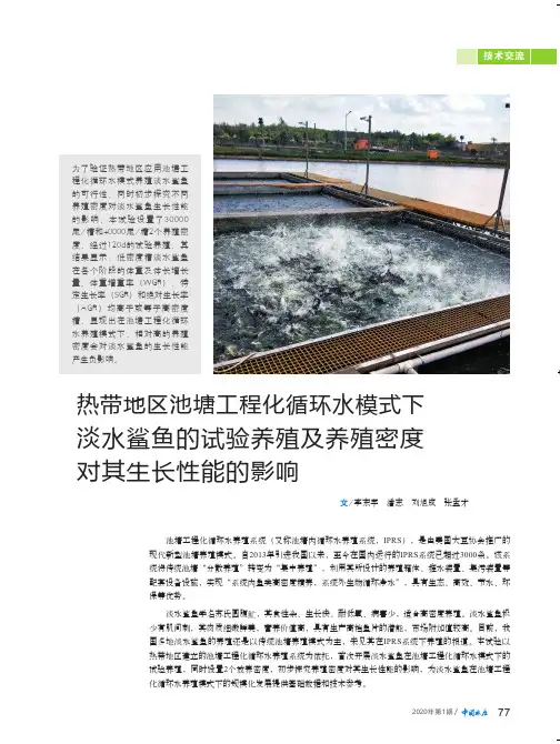 热带地区池塘工程化循环水模式下淡水鲨鱼的试验养殖及养殖密度对