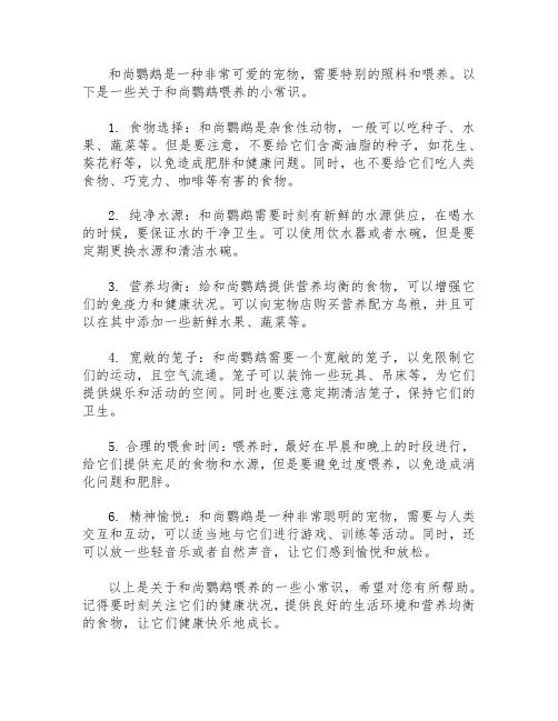 和尚鹦鹉喂养小常识
