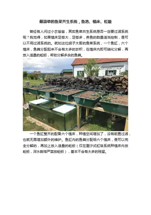 最简单的鱼菜共生系统，鱼池、植床、虹吸