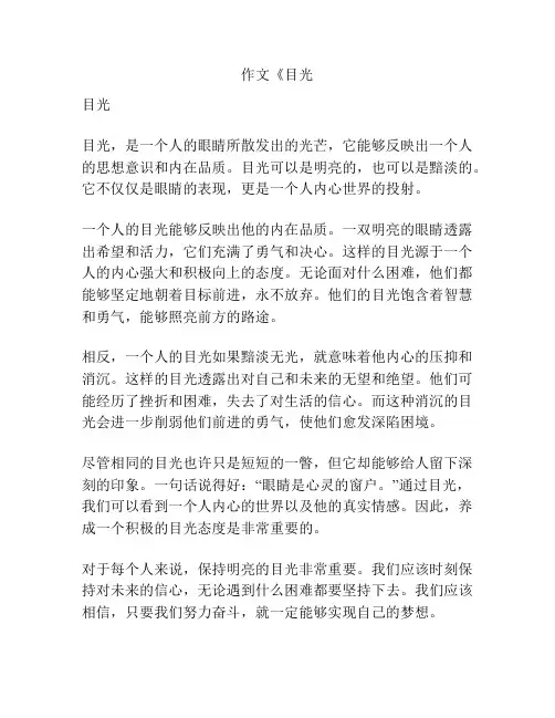 作文《目光