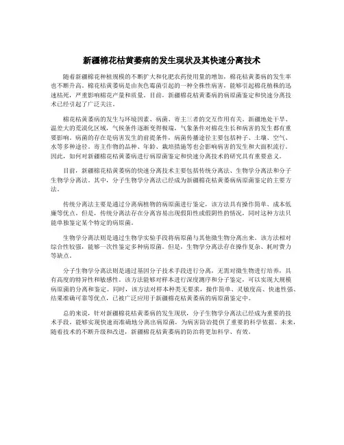 新疆棉花枯黄萎病的发生现状及其快速分离技术