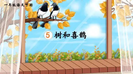5树和喜鹊 课件(共29张PPT)