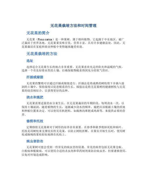 无花果栽培方法和时间管理