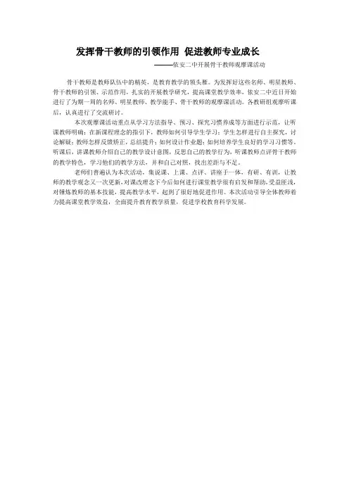 发挥骨干教师的引领作用 促进教师专业成长