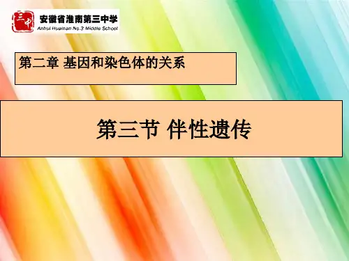 高中生物必修二第二章第3节《伴性遗传》优秀课件_26