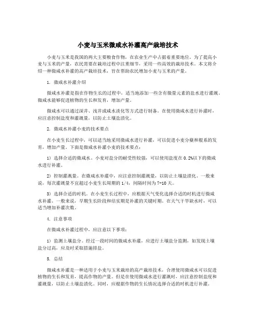 小麦与玉米微咸水补灌高产栽培技术