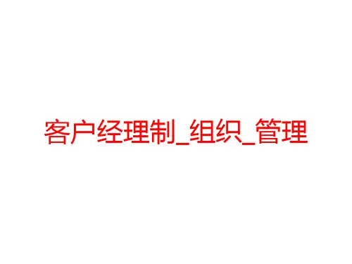 客户经理制_组织_管理