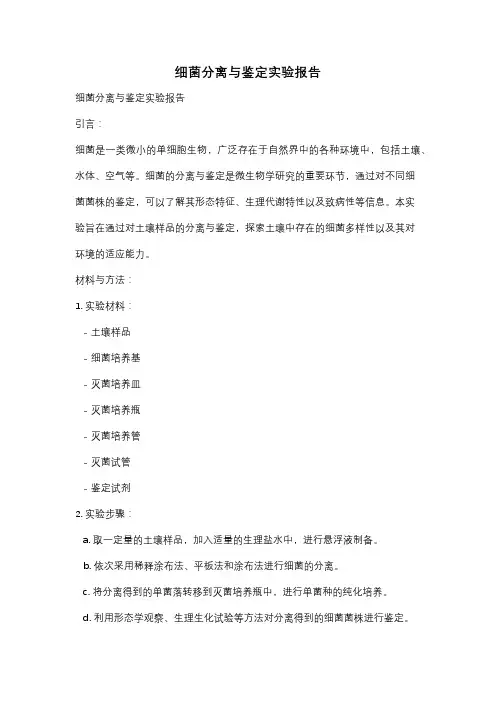 细菌分离与鉴定实验报告