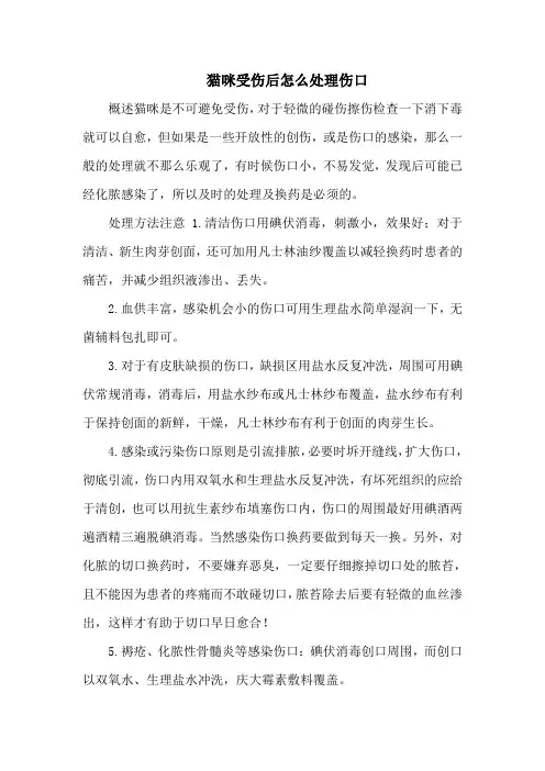 猫咪受伤后怎么处理伤口