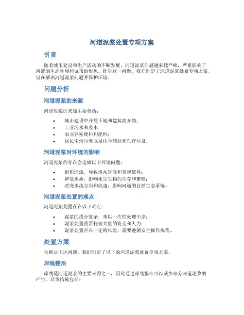 河道泥浆处置专项方案