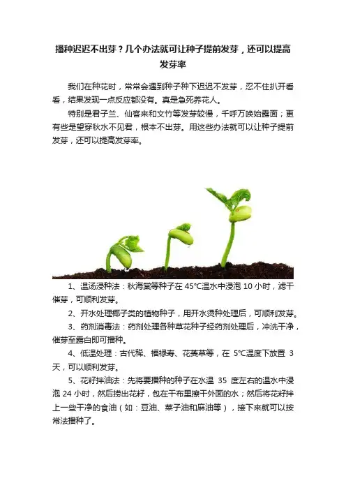 播种迟迟不出芽？几个办法就可让种子提前发芽，还可以提高发芽率