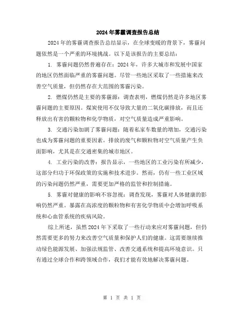 2024年雾霾调查报告总结