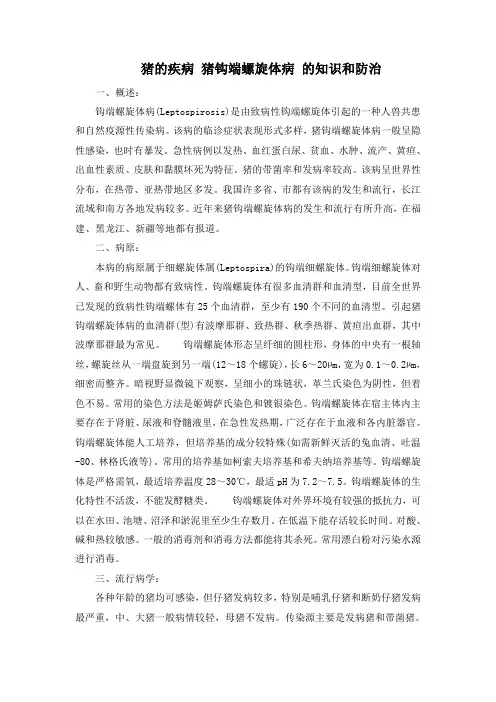 猪的疾病 猪钩端螺旋体病 的知识和防治