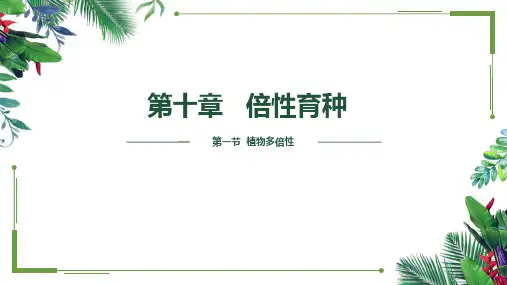 第十章 倍性育种 植物多倍性 