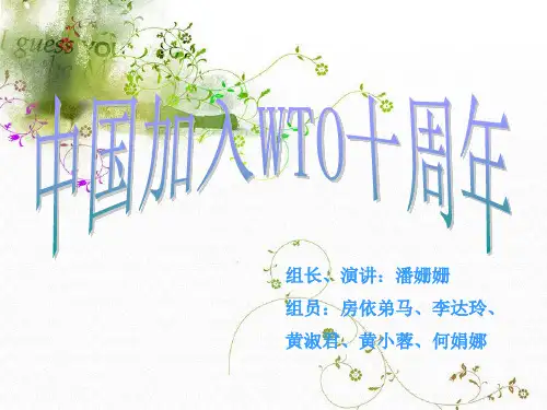 中国加入世贸组织10周年(1)