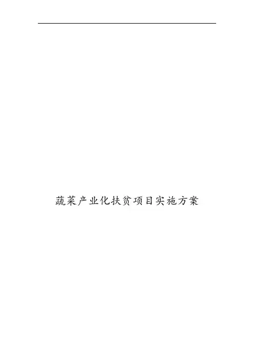 蔬菜产业化扶贫项目实施计划方案