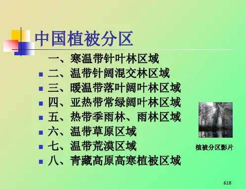 中国植被类型及分布经典课件