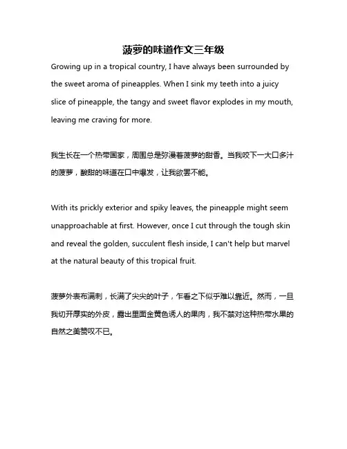 菠萝的味道作文三年级