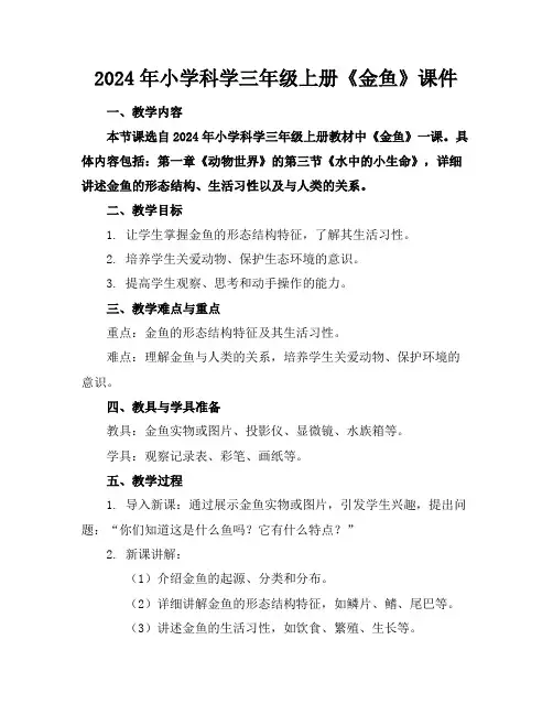 2024年小学科学三年级上册《金鱼》课件