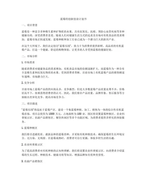 蓝莓的创新创业计划书