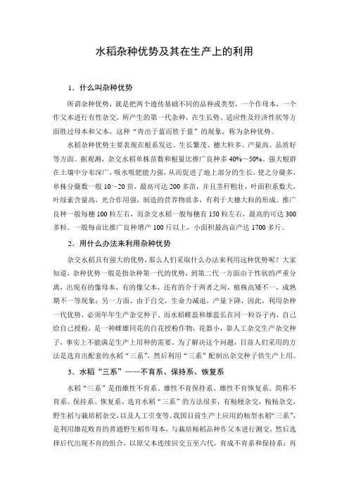 文档：水稻杂种优势及其在生产上的利用