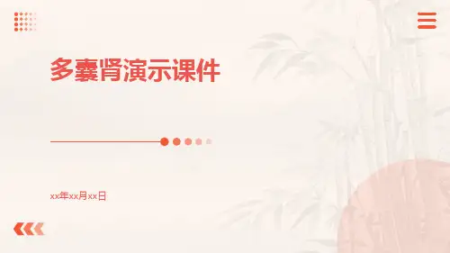 多囊肾演示课件