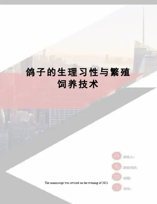 鸽子的生理习性与繁殖饲养技术
