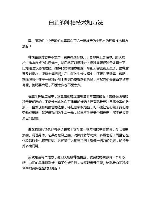 白芷的种植技术和方法