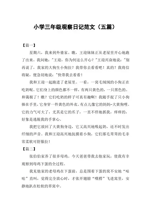 小学三年级观察日记范文(五篇)