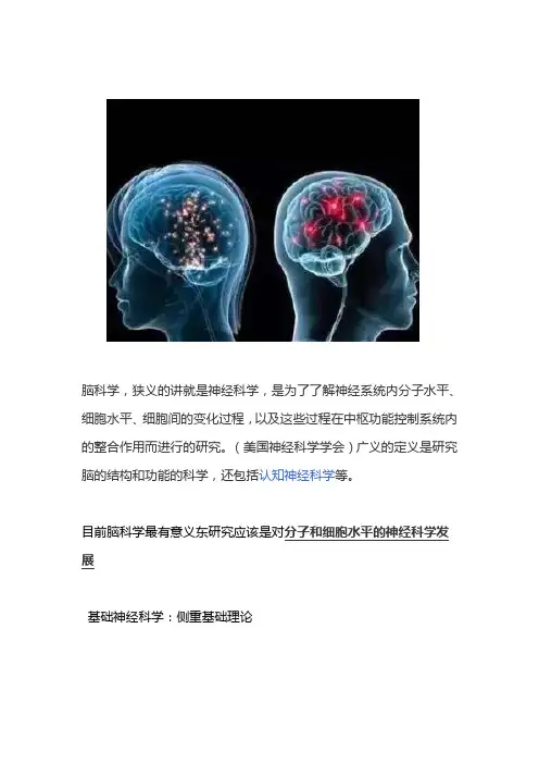 当前脑科学中最有意义的是对什么的研究