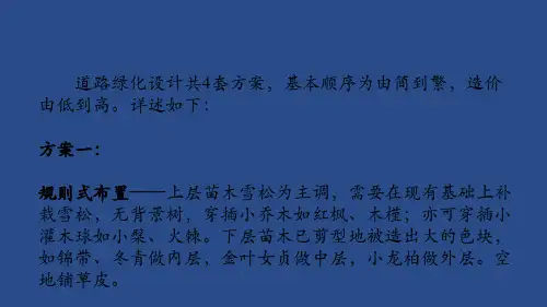 道路绿化设计