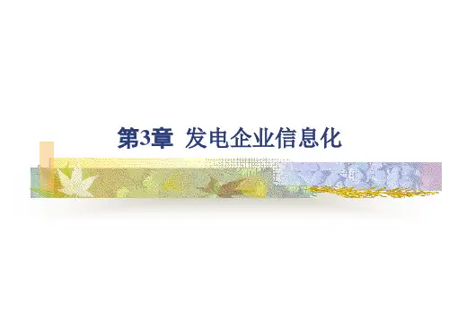 发电企业信息化课件培训 (ppt 87页)