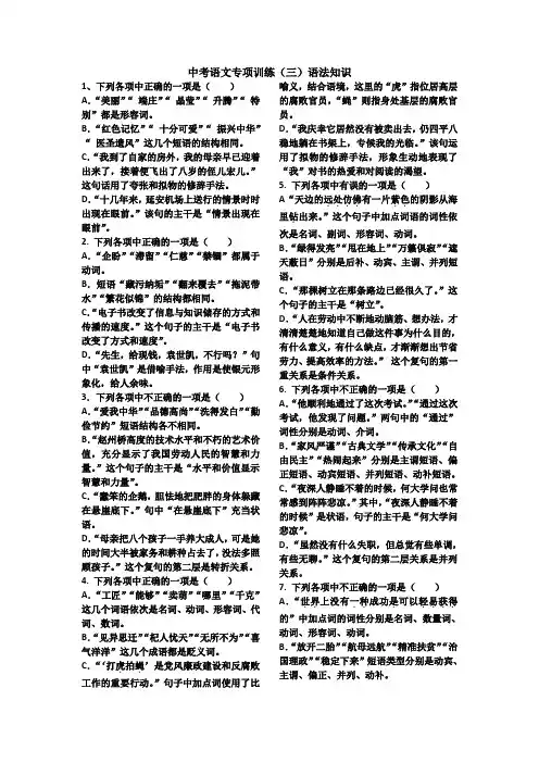中考语文专项训练 语法知识