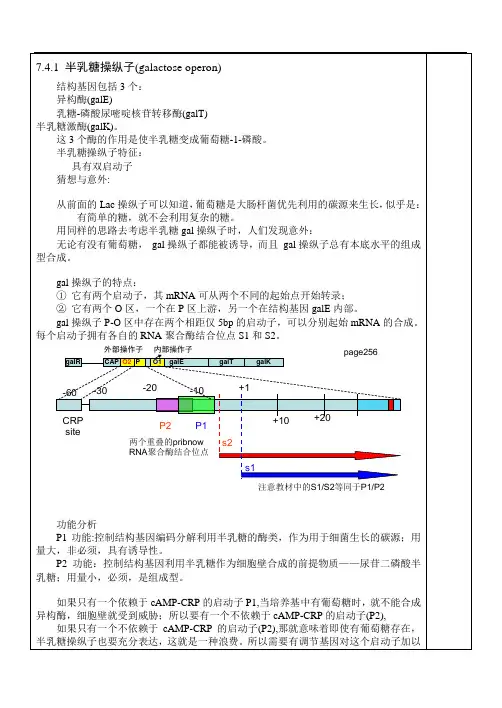 分子生物学-13-4-第七章原核基因表达调控-Arb