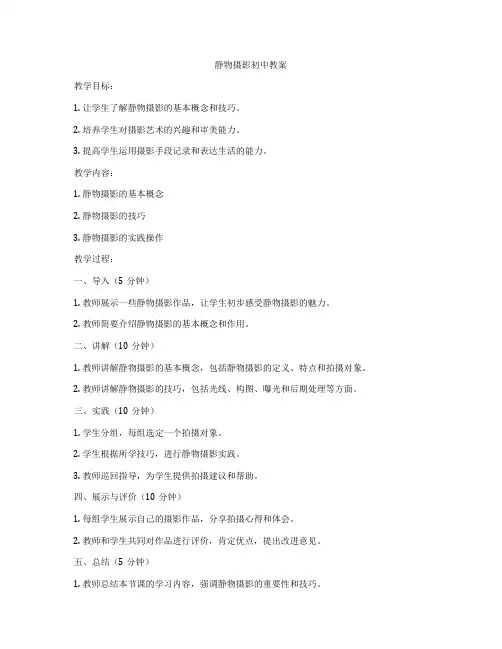 静物摄影初中教案