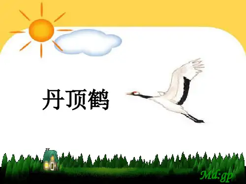 小学语文二年级课件ppt美丽的丹顶鹤(第一课时)