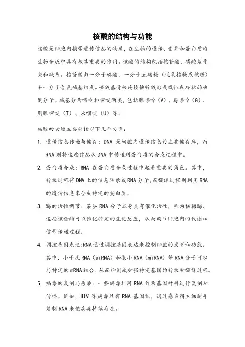核酸的结构与功能