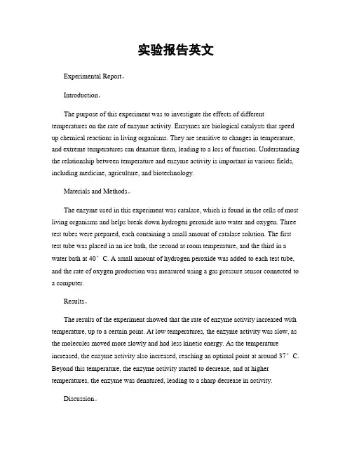 实验报告英文