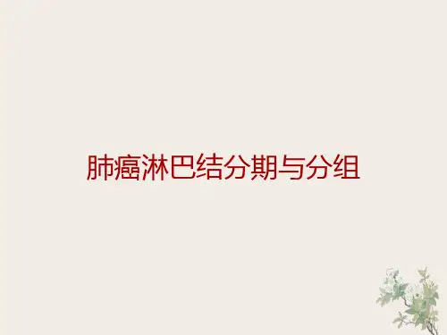肺癌淋巴结分期与分组-最新版