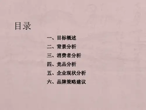 OYEA眼镜品牌推广策划案