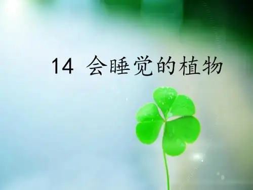 2017最新苏教版会睡觉的植物