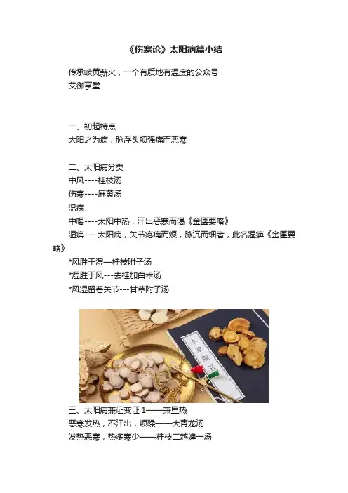 《伤寒论》太阳病篇小结