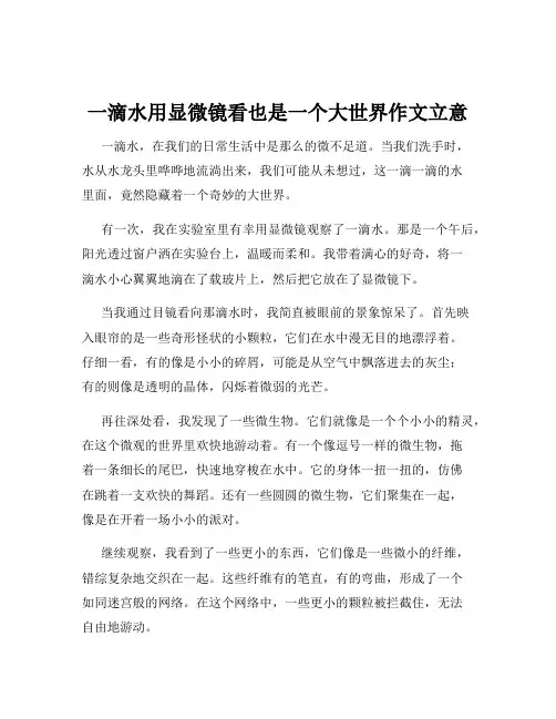 一滴水用显微镜看也是一个大世界作文立意