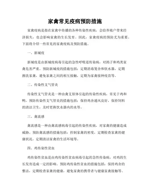 家禽常见疫病预防措施