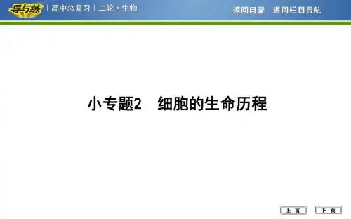 2018高考生物小专题2 细胞的生命历程